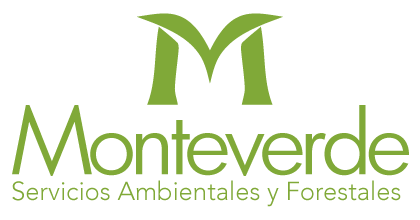 Monteverde LTDA